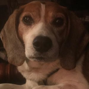 Meet your Posher, Lorie